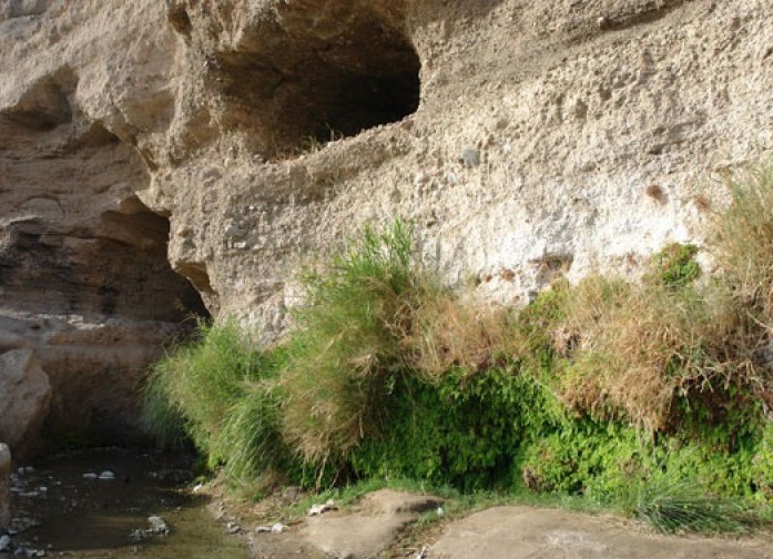 روستای لادیز