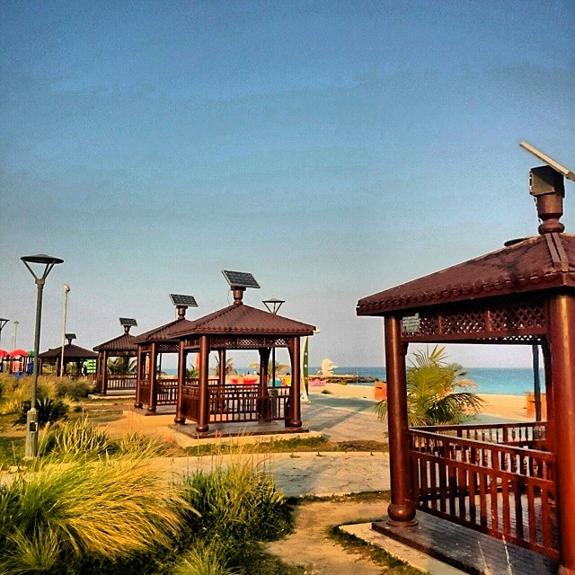 ساحل مرجان کیش