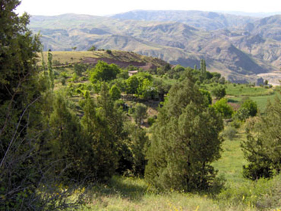روستای کزج