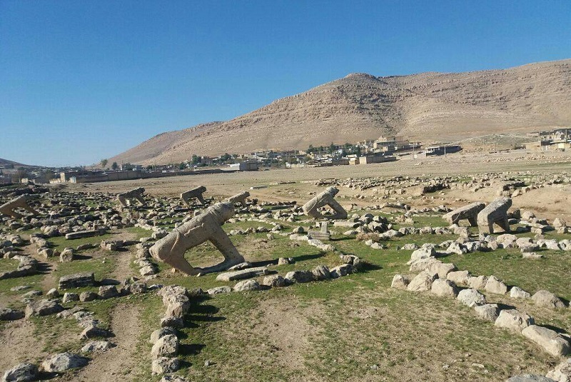 دشت سوسن ایذه