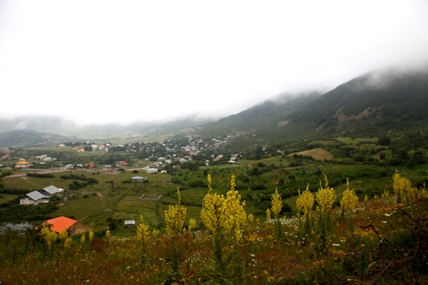 روستای داماش سوسن چلچراغ