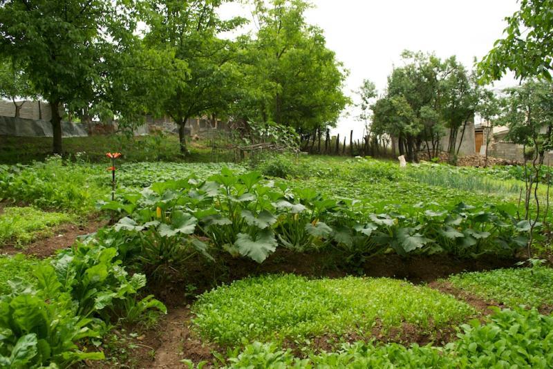 روستای کندلوس