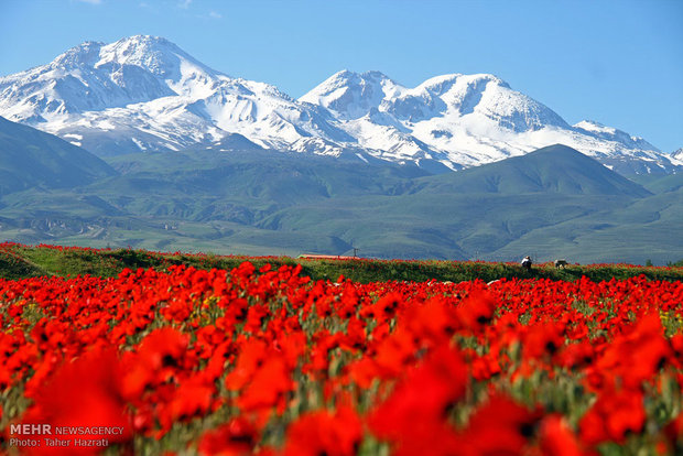 مجموعه دریاچه های کوهستان سبلان