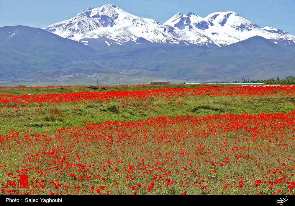 مجموعه دریاچه های کوهستان سبلان