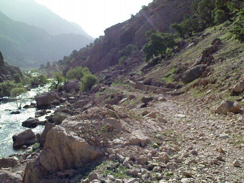 منطقه حفاظت شده جنگلی شیمبار
