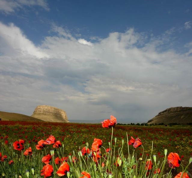 مجتمع گردشگری باری