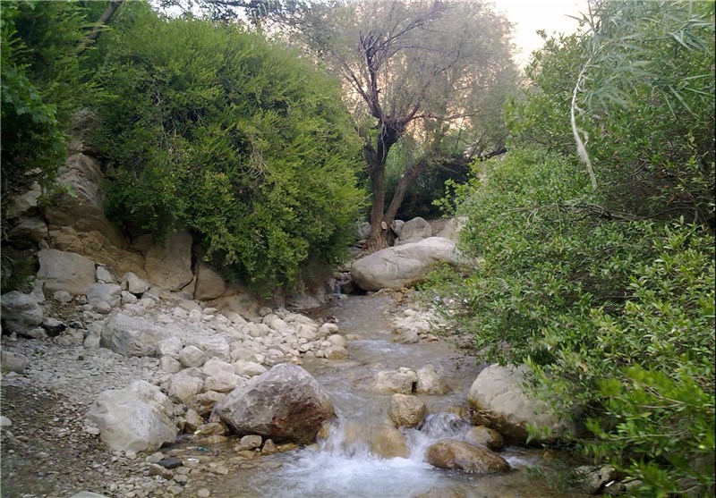 روستای مارین