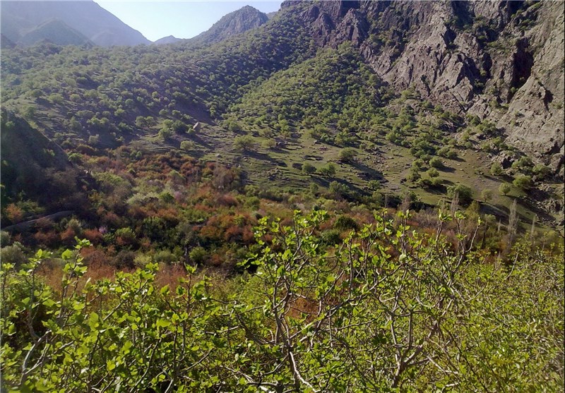 روستای مارین