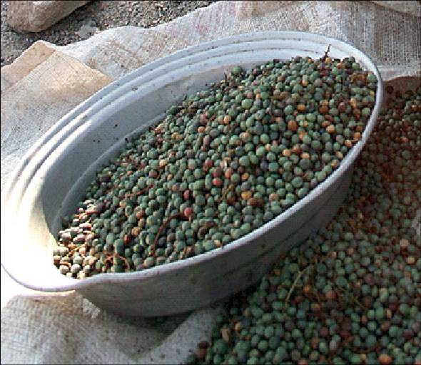 روستای مارین