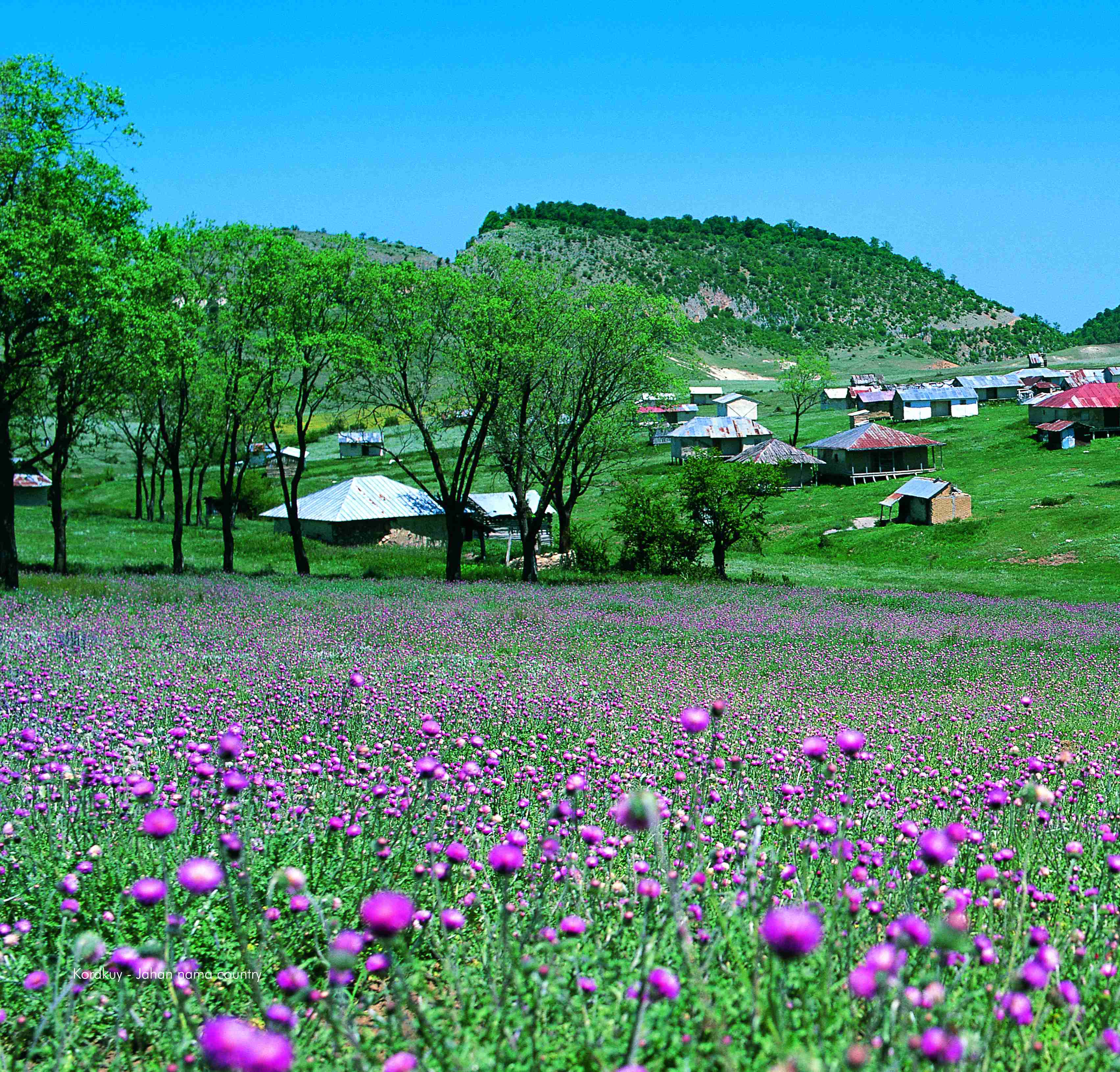 روستای جهان نما