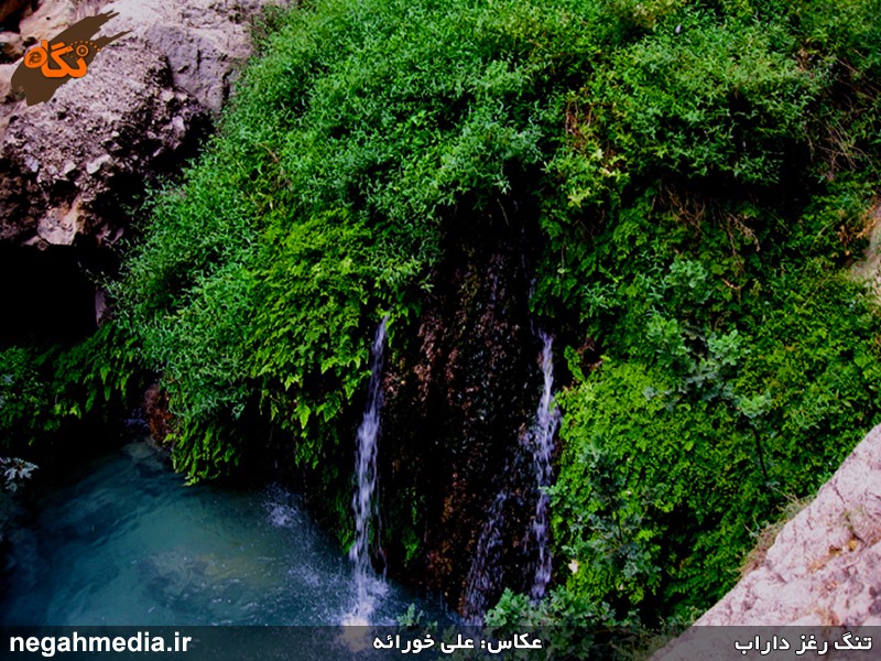 تنگه رغز داراب