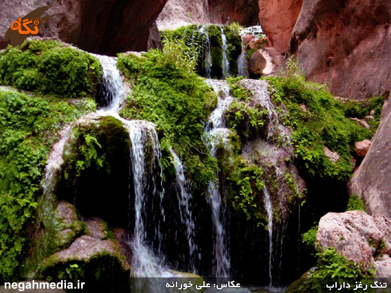 تنگه رغز داراب