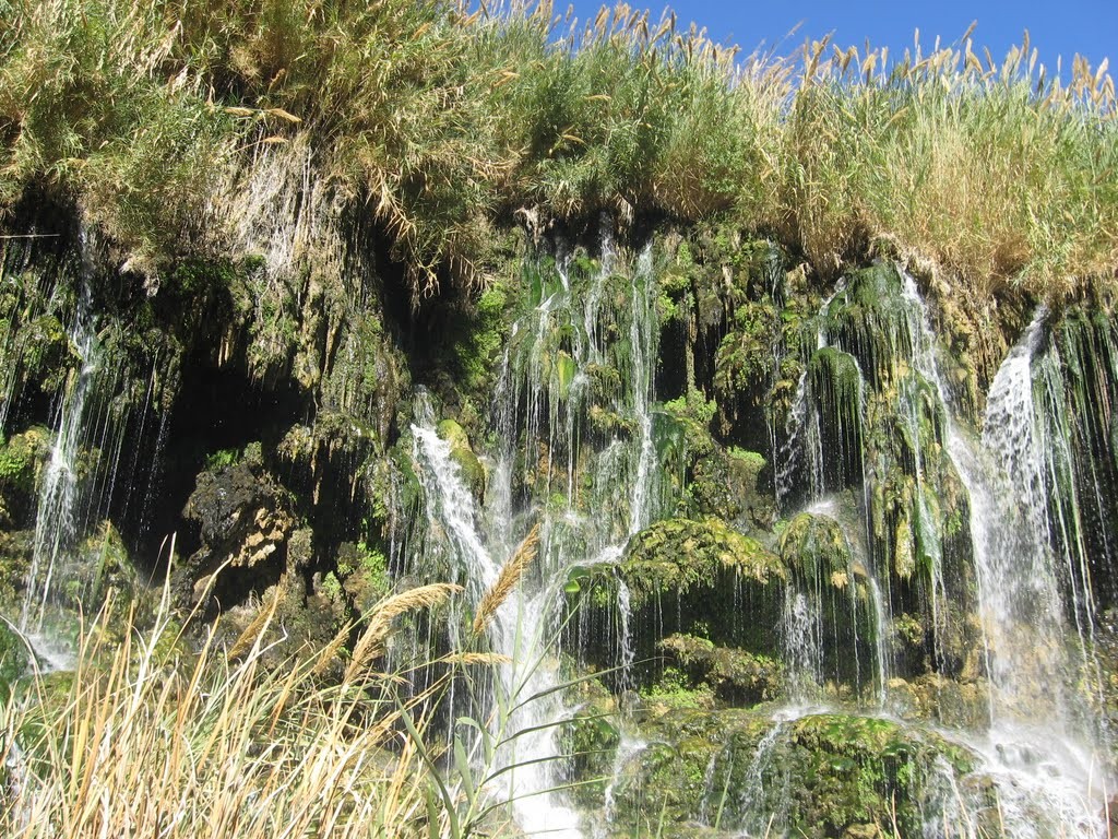 فدامی آبشاری با آب شیرین در فارس 