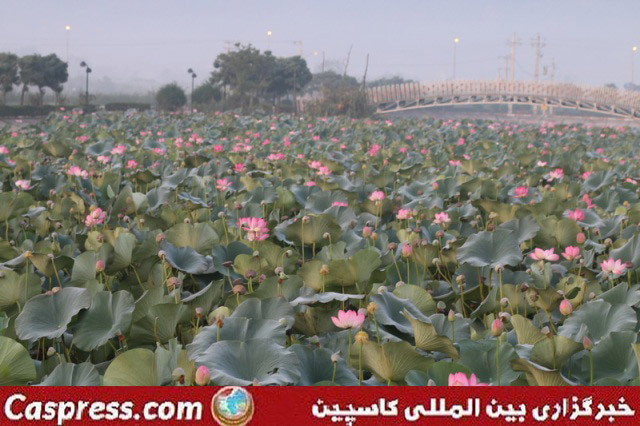 تالاب کیاکلایه