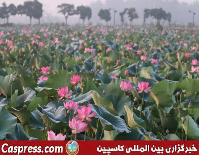 تالاب کیاکلایه