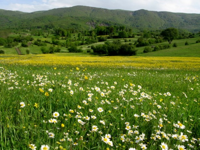 دریاچه ویستان بره سر رودبار