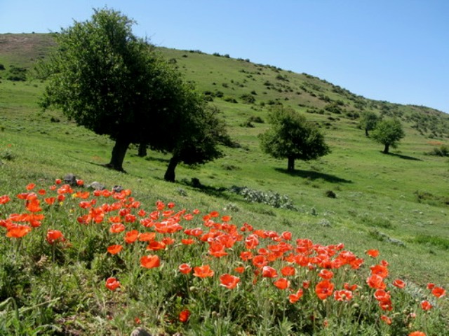 دریاچه ویستان بره سر رودبار