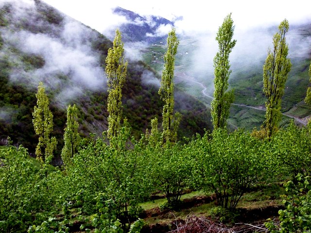 اشکورات