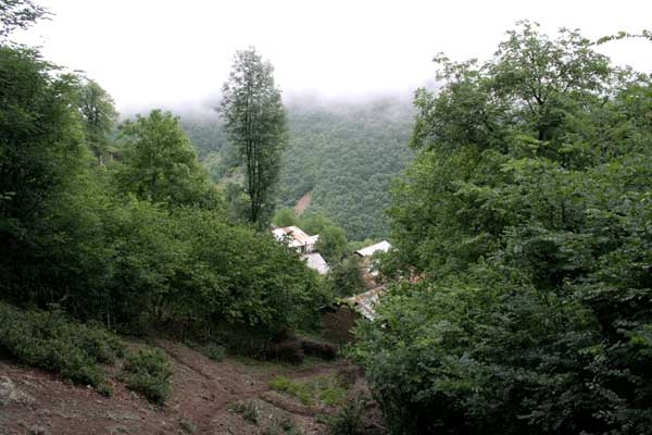 اشکورات
