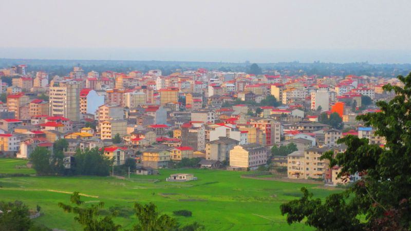 پارک جنگلی سیاه داران