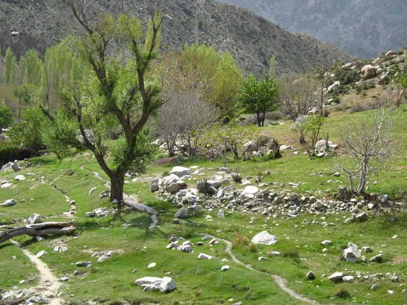 منطقه دلفارد