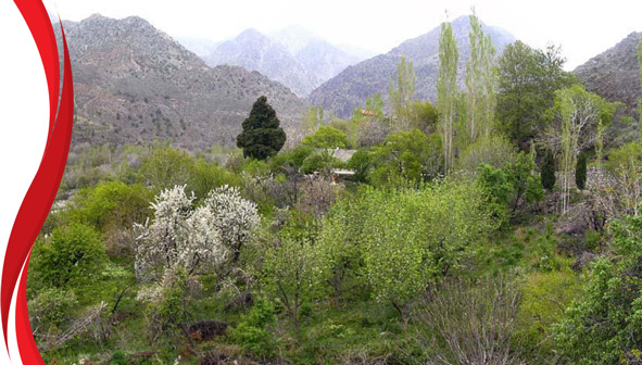 منطقه دلفارد
