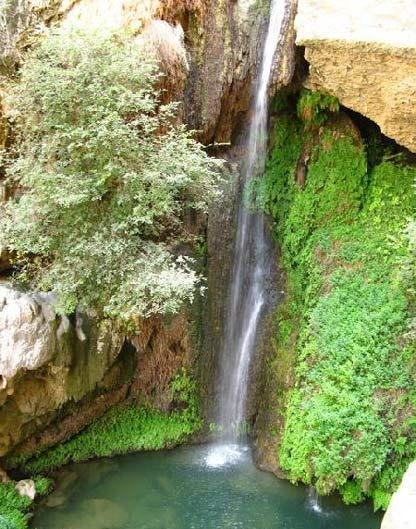 منطقه دلفارد