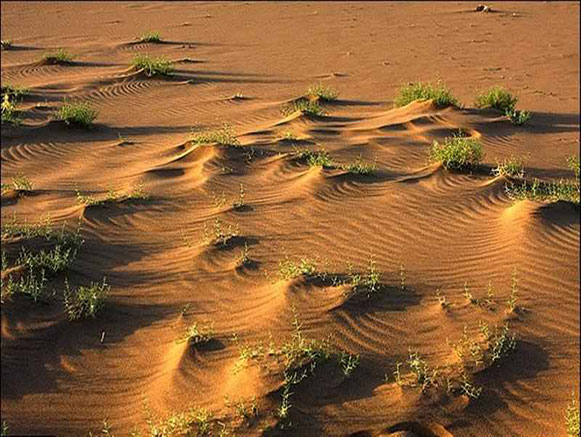 قوم تپه کویر آذربایجان