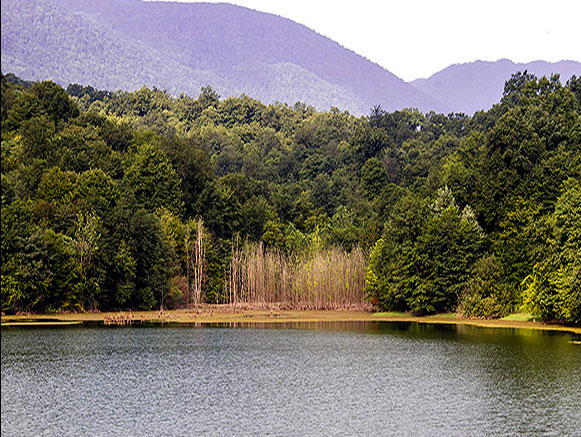 الیمات دریاچه‌ای در دل جنگل‌های مازندران 