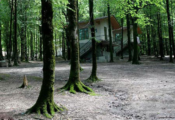 پارک جنگلی کردکوی مقصدی مناسب برای گردشگری 