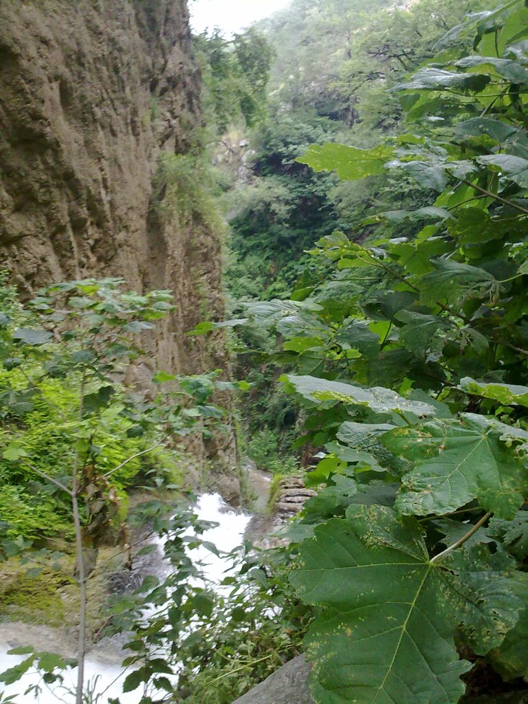 منطقه حفاظت شده لوه