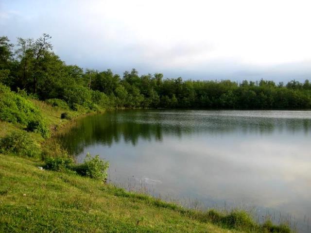 پارک جنگلی نور