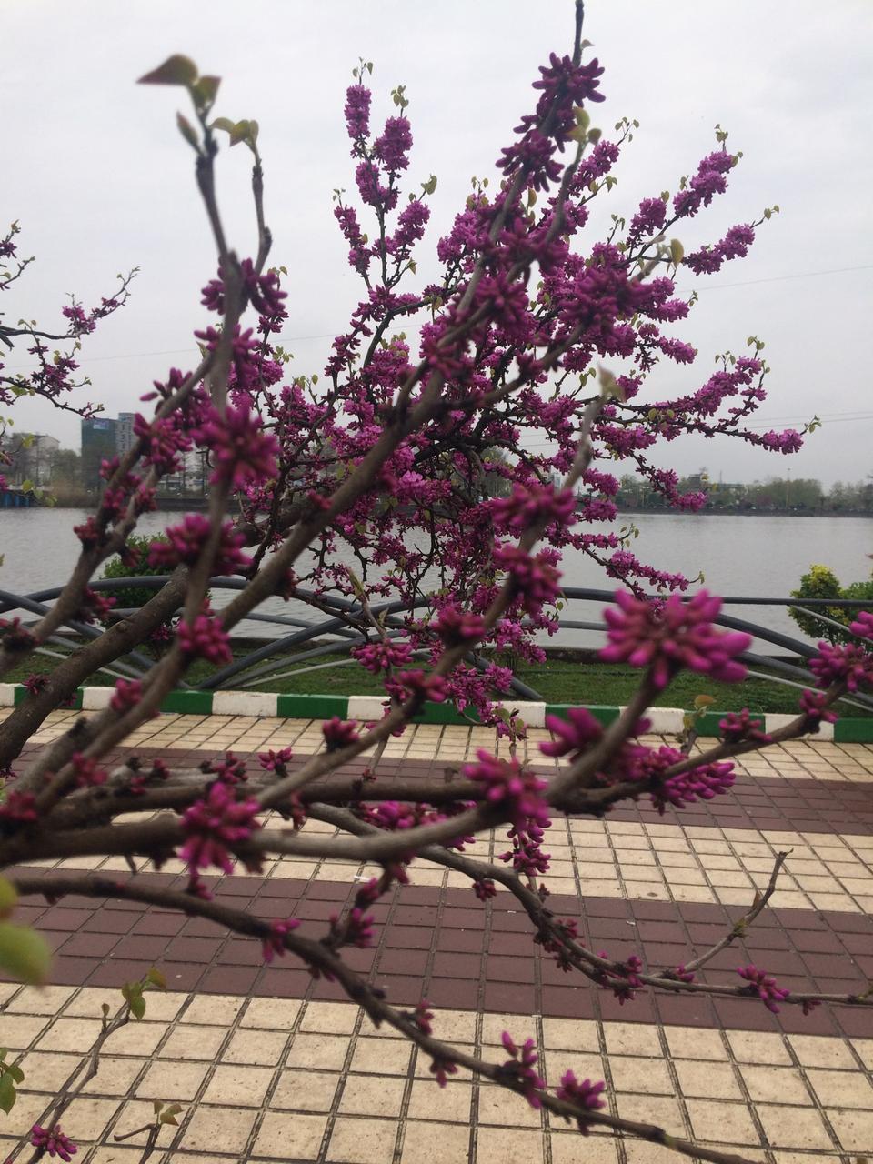 تفرجگاه شیطان کوه