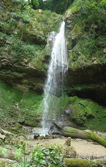 آیا به جنگل انجیلی و آبشار ولیلا سفر کرده‌اید؟ 
