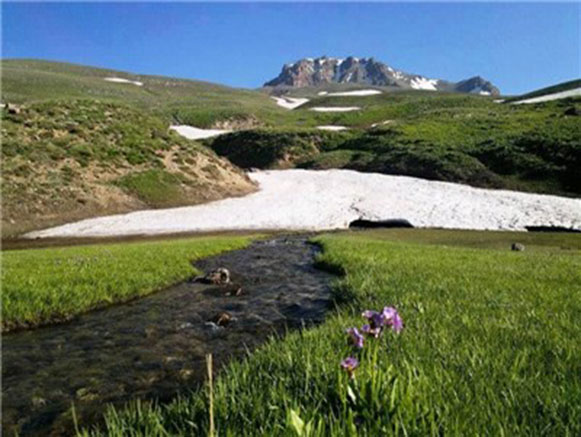 دهستان مرگور