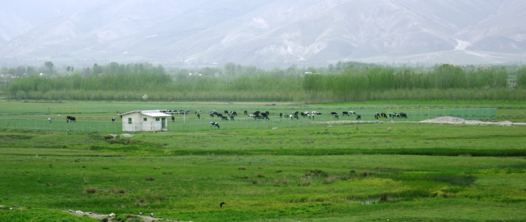 دهستان مرگور