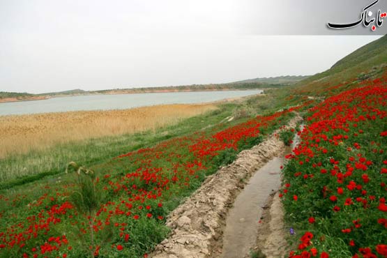 دریاچه بزنگان