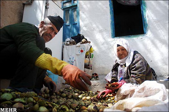 روستای اسپیدان