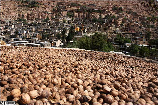 روستای اسپیدان