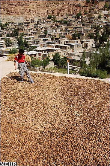روستای اسپیدان