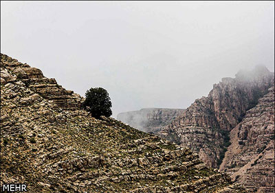 روستای اسپیدان
