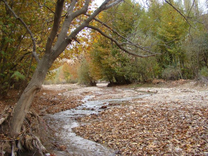 خسرویه