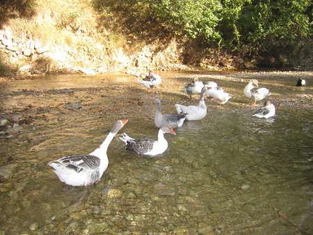 خسرویه