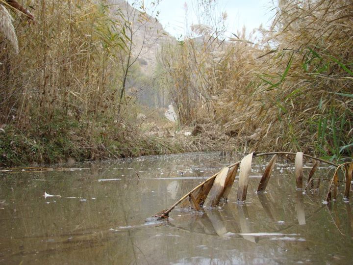 خسرویه