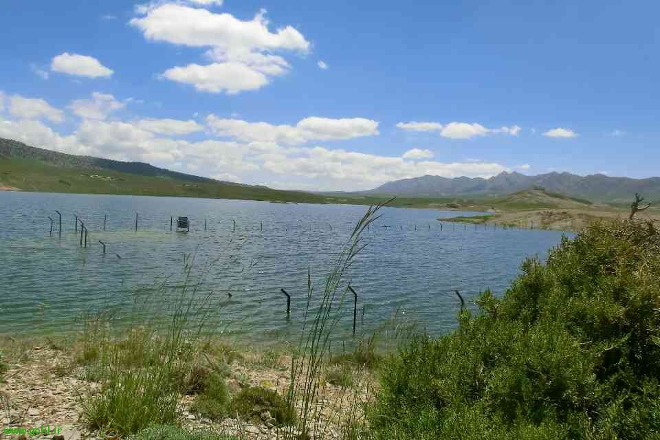 عشایر کرمانجی