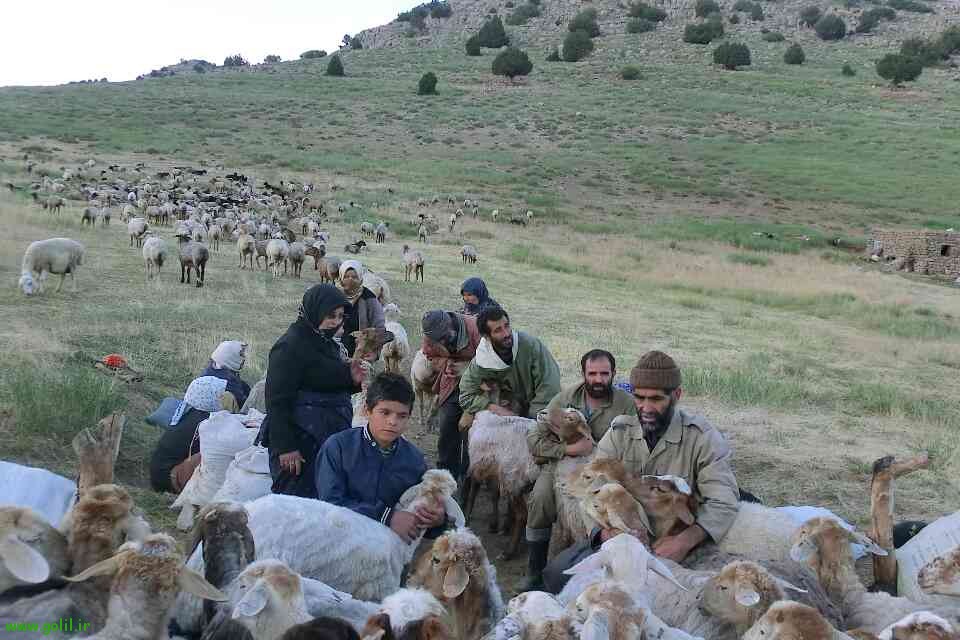 عشایر کرمانجی