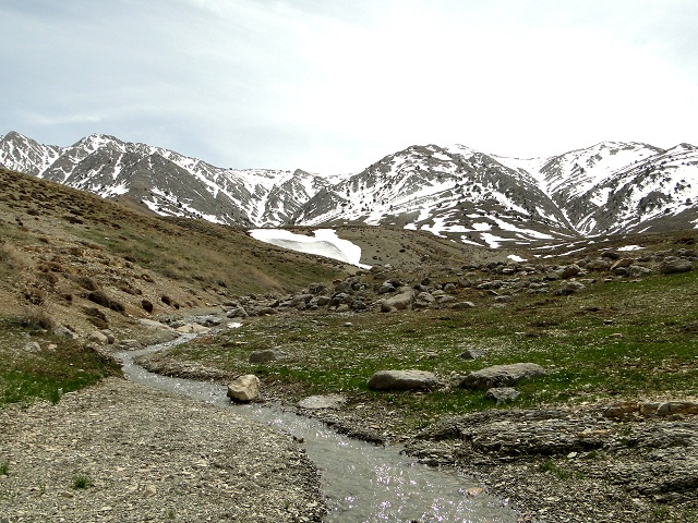 عشایر کرمانجی