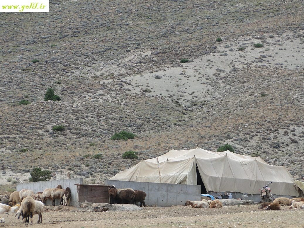عشایر کرمانجی