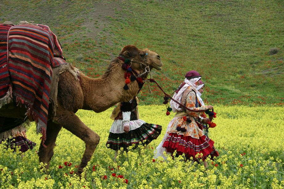 عشایر کرمانجی