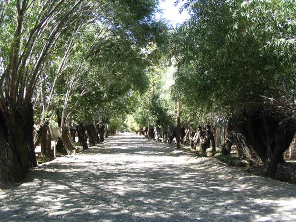 منطقه گردشگری باغستان و آبگرم فردوس